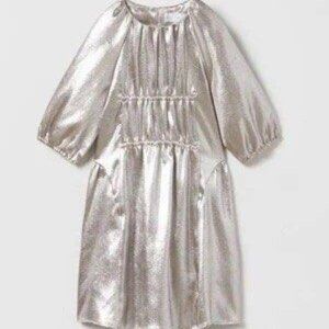 Zara Metallic Silver Dress